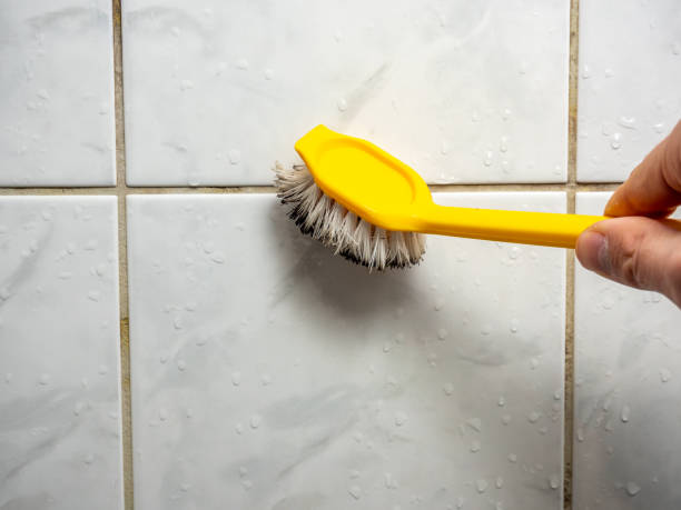Best Commercial Mold Removal  in New Freedom, PA
