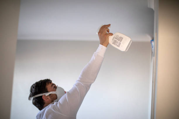 Professional Mold Removal in New Freedom, PA