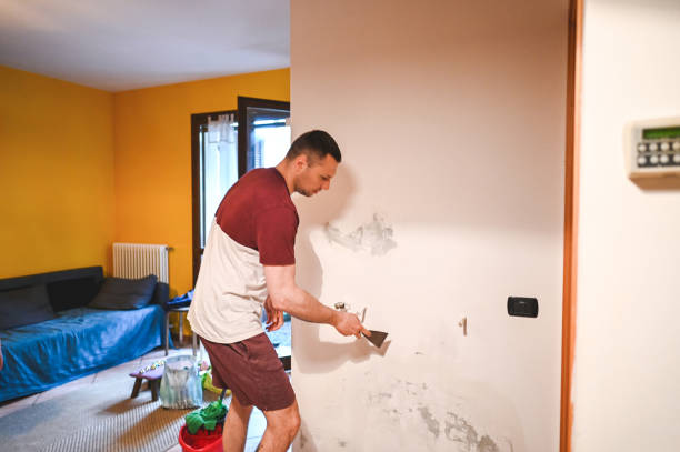 Best Mold Cleaning Services  in New Freedom, PA